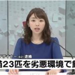堀口妙子の顔画像、Facebookは?自宅で23匹もの猫を飼った結末